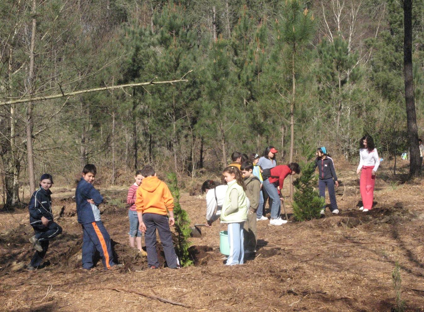 Imaxen da actividad do dia da arbore pola comunidade de montes Paraños