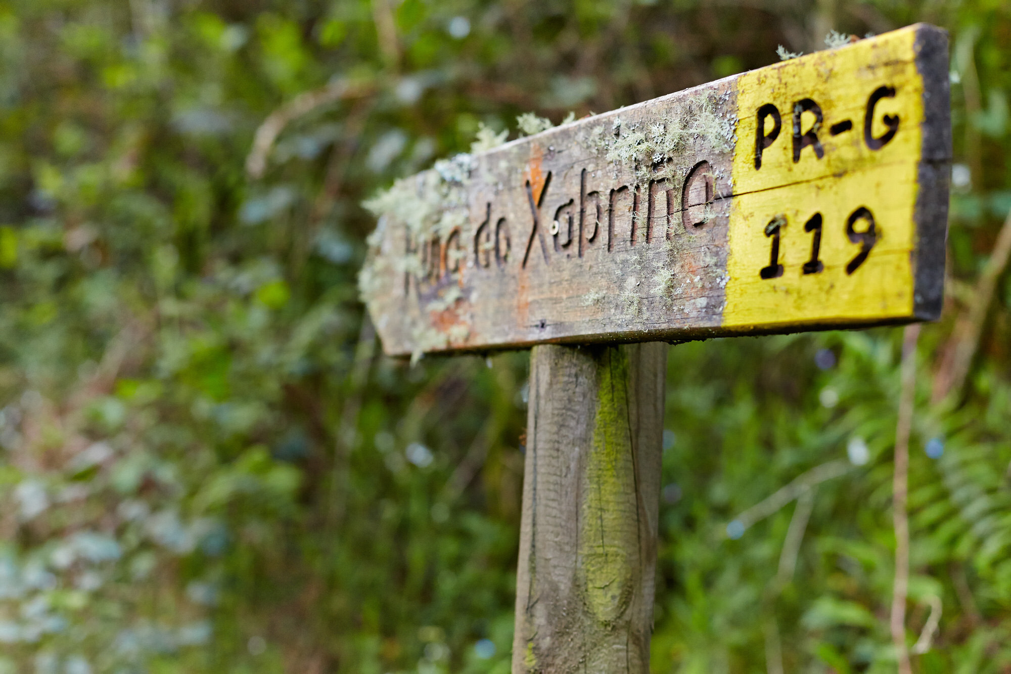 Sinal da ruta do río Xabriña (PR-G 119)